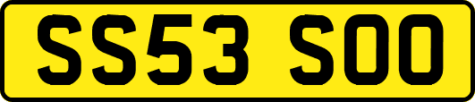SS53SOO
