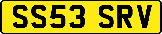 SS53SRV