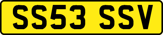 SS53SSV