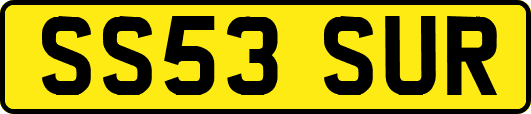 SS53SUR