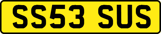 SS53SUS