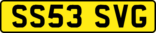 SS53SVG