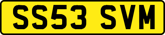 SS53SVM