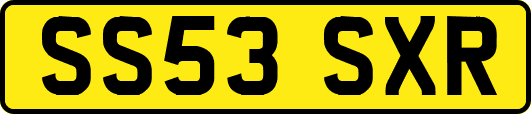 SS53SXR