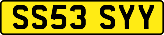 SS53SYY