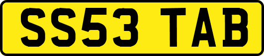 SS53TAB