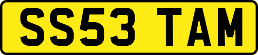 SS53TAM