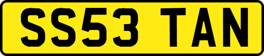 SS53TAN
