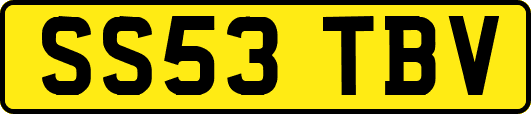 SS53TBV