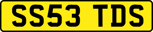 SS53TDS