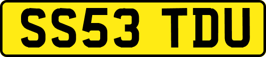 SS53TDU