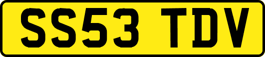 SS53TDV