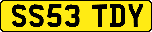 SS53TDY
