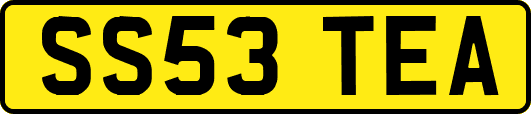 SS53TEA