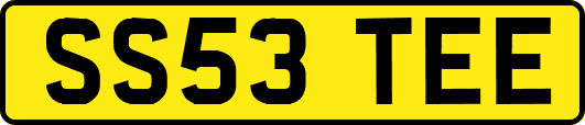SS53TEE