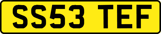 SS53TEF