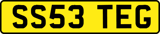 SS53TEG