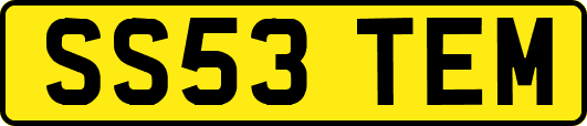 SS53TEM