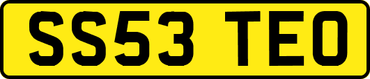 SS53TEO