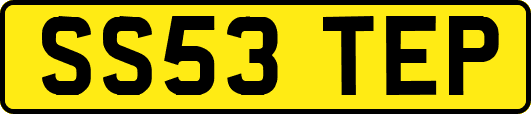 SS53TEP