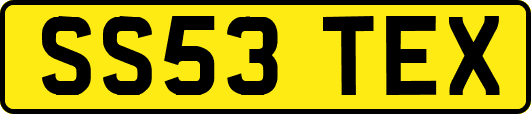 SS53TEX