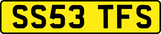 SS53TFS