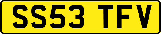 SS53TFV