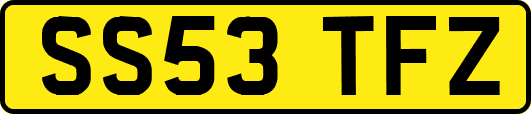 SS53TFZ