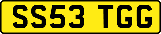 SS53TGG