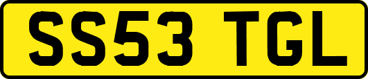 SS53TGL
