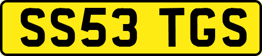 SS53TGS
