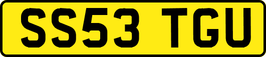 SS53TGU