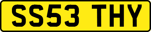 SS53THY