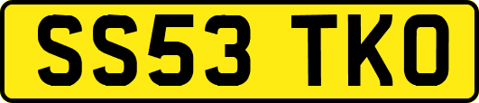 SS53TKO
