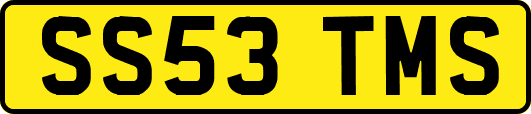 SS53TMS