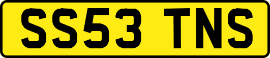 SS53TNS