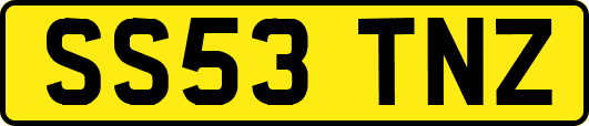 SS53TNZ