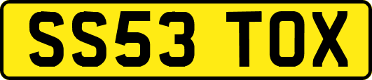 SS53TOX