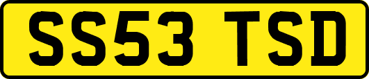 SS53TSD