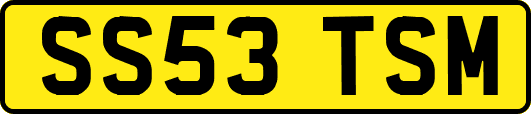 SS53TSM