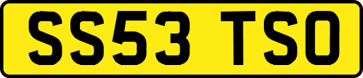 SS53TSO