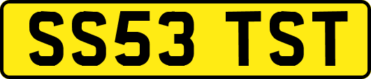 SS53TST