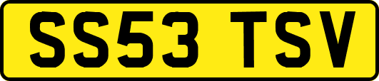 SS53TSV