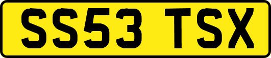 SS53TSX