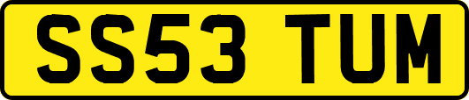 SS53TUM