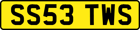 SS53TWS
