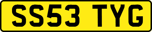 SS53TYG