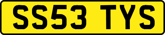 SS53TYS
