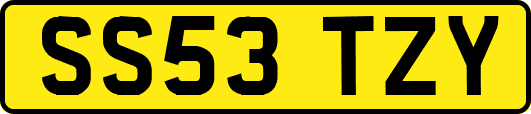 SS53TZY