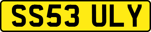 SS53ULY
